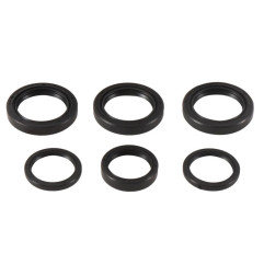 ALL BALLS Front Differential Seal Kit for POLARIS RANGER 400, RANGER 500, SPORTSMAN 500 HO, SPORTSMAN 500 TOURING, SPORTSMAN 800