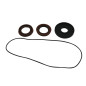Kit retenes de diferencial trasero ALL BALLS para POLARIS RANGER 500, RANGER 500 6X6, RANGER 700, RANGER MV 900 DIESEL Kit retenes de diferencial trasero ALL BALLS para POLARIS RANGER 500, RANGER 500 6X6, RANGER 700, RANGER MV 900 DIESEL