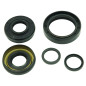 ALL BALLS Vorderachsdifferenzial Dichtungssatz für HONDA TRX 420 FA IRS, TRX 420 FE1 FOURTRAX RANCHER ES 4WD 2012-2025