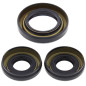 ALL BALLS Vorderachsdifferenzial Dichtungssatz für HONDA TRX 300 FW FOURTRAX 4WD und YAMAHA YFM 350 WOLVERINE 2WD 1988-2005