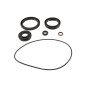 Kit retenes de diferencial delantero ALL BALLS para KAWASAKI KVF 750 BRUTE FORCE I EPS 4WD de 2015 a 2025