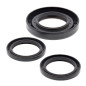 Kit retenes de diferencial trasero ALL BALLS para HONDA TRX 420 FE1 FOURTRAX RANCHER ES 4WD, TRX 420 TM1 FOURTRAX RANCHER 2WD