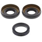 Kit retenes de diferencial delantero ALL BALLS para HONDA TRX 500 FA FOURTRAX FOREMAN RUBICON 4WD de 2003 a 2014 Kit retenes de diferencial delantero ALL BALLS para HONDA TRX 500 FA FOURTRAX FOREMAN RUBICON 4WD de 2003 a 2014