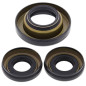 ALL BALLS Front Differential Seal Kit for HONDA TRX 400 FW FOURTRAX FOREMAN 4WD, TRX 450 ES FOURTRAX FOREMAN 4WD 1995-2001