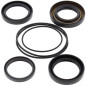 Kit retenes de diferencial trasero ALL BALLS para HONDA TRX 300 FOURTRAX 2WD, TRX 300 FW FOURTRAX 4WD de 1988 a 2000