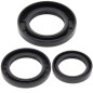 ALL BALLS Hinterachsdifferenzial Dichtungssatz für KAWASAKI KLF 300 BAYOU 4WD, KLF 400 BAYOU 4WD 1989-2005
