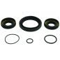 ALL BALLS Vorderachsdifferenzial Dichtungssatz für HONDA TRX 500 FA5 FOURTRAX FOREMAN RUBICON DCT 4WD 2014-2019 ALL BALLS Vorderachsdifferenzial Dichtungssatz für HONDA TRX 500 FA5 FOURTRAX FOREMAN RUBICON DCT 4WD 2014-2019