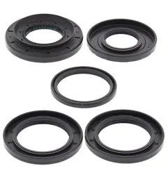 Kit joints de différentiel arrière ALL BALLS pour SUZUKI LT-F 250 OZARK 2WD, LTZ 250 de 2002 à 2014