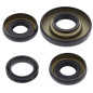 Kit retenes de diferencial delantero ALL BALLS para HONDA TRX 500 FA FOURTRAX FOREMAN RUBICON 4WD de 2001 a 2004 Kit retenes de diferencial delantero ALL BALLS para HONDA TRX 500 FA FOURTRAX FOREMAN RUBICON 4WD de 2001 a 2004