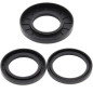 Kit retenes de diferencial trasero ALL BALLS para KAWASAKI KVF 300 PRAIRIE 2WD, KVF 300 PRAIRIE 4WD, KVF 400 PRAIRIE 2WD Kit retenes de diferencial trasero ALL BALLS para KAWASAKI KVF 300 PRAIRIE 2WD, KVF 300 PRAIRIE 4WD, KVF 400 PRAIRIE 2WD