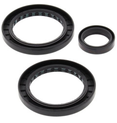 ALL BALLS Rear Differential Seal Kit for POLARIS MAGNUM 325, MAGNUM 500, MAGNUM 500 VL HDS, SPORTSMAN 700, XPEDITION 325