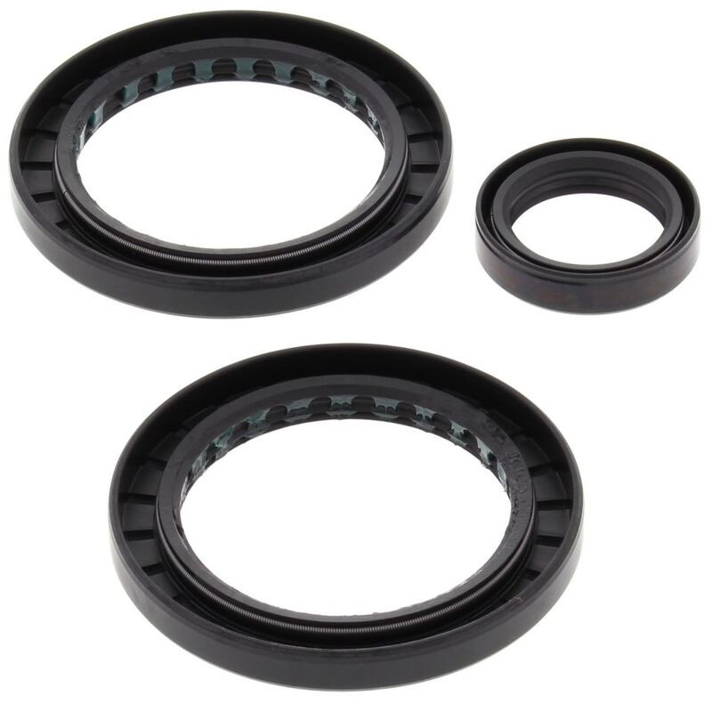 Kit retenes de diferencial trasero ALL BALLS para POLARIS MAGNUM 325, MAGNUM 500, SPORTSMAN 700, XPEDITION 325 de 1999 a 2004