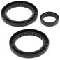 Kit retenes de diferencial trasero ALL BALLS para POLARIS MAGNUM 325, MAGNUM 500, SPORTSMAN 700, XPEDITION 325 de 1999 a 2004