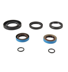 Joints de boîte-pont ALL BALLS ALL BALLS pour POLARIS HAWKEYE 300, SPORTSMAN 300, SPORTSMAN 400 HO 4X4 de 2006 à 2011