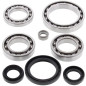 Kit roulements et joints de différentiel avant ALL BALLS pour YAMAHA YFM 450 KODIAK 4WD, YFM 660 GRIZZLY 4WD, YXR 450 RHINO 4WD