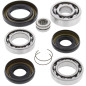 Kit rodamientos y retenes de diferencial delantero ALL BALLS para HONDA TRX 300 FW FOURTRAX 4WD y YAMAHA YFM 350 WOLVERINE 2WD