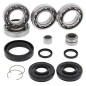 ALL BALLS Front Differential Bearing & Seal Kit for HONDA TRX 420 FA IRS, TRX 420 FE1 FOURTRAX RANCHER ES 4WD 2014-2025