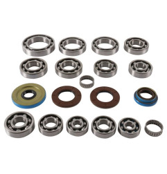 ALL BALLS Achsgetriebe Lager & Dichtungssatz für POLARIS GENERAL 1000 EPS PREMIUM, RZR XP 1000 HIGH LIFTER 2015-2025