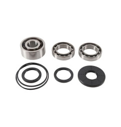 Kit roulements et joints de différentiel avant ALL BALLS pour POLARIS RZR XP 1000 HIGH LIFTER de 2017