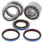 Kit rodamientos y retenes de diferencial trasero ALL BALLS para YAMAHA YFM 350 GRIZZLY IRS 4WD de 2007 a 2011