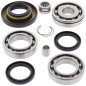 Kit roulements et joints de différentiel arrière ALL BALLS pour HONDA TRX 400 FW FOURTRAX FOREMAN 4WD de 1995 à 2001