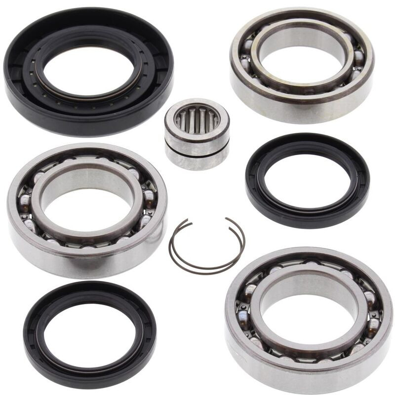 ALL BALLS Hinterachsdifferenzial Lager & Dichtungssatz für HONDA TRX 420 TM1 FOURTRAX RANCHER 2WD 2012-2019