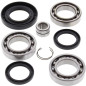 ALL BALLS Rear Differential Bearing & Seal Kit for HONDA TRX 420 FE1 FOURTRAX RANCHER ES 4WD, TRX 420 TM1 FOURTRAX RANCHER 2WD