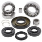 Kit roulements et joints de différentiel avant ALL BALLS pour HONDA TRX 500 FA FOURTRAX FOREMAN RUBICON 4WD de 2001 à 2004