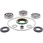 ALL BALLS Front Differential Bearing & Seal Kit for CAN-AM OUTLANDER 850 EFI XMR, OUTLANDER 850 EFI XTP, RENEGADE 1000 R EFI XMR
