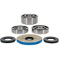 Kit roulements et joints de différentiel avant ALL BALLS pour CAN-AM OUTLANDER 850, OUTLANDER 850 EFI DPS, OUTLANDER 850 EFI XMR