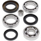 Kit rodamientos y retenes de diferencial trasero ALL BALLS para HONDA ATC 250, TRX 250 FOURTRAX 2WD de 1985 a 1987