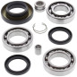 Kit roulements et joints de différentiel arrière ALL BALLS pour HONDA TRX 500 FA FOURTRAX FOREMAN RUBICON 4WD de 2001 à 2004