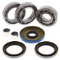 ALL BALLS Hinterachsdifferenzial Lager & Dichtungssatz für POLARIS SPORTSMAN 800 2009-2010