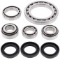 Kit rodamientos y retenes de diferencial delantero ALL BALLS para SUZUKI LT-F 250 QUADRUNNER 4WD, LT-F 300 KINGQUAD 4WD