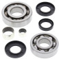 Kit roulements et joints de différentiel avant ALL BALLS pour POLARIS SCRAMBLER 500, SPORTSMAN 500 6X6 et YAMAHA XT 600