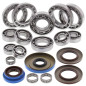 ALL BALLS Achsgetriebe Lager & Dichtungssatz für POLARIS SPORTSMAN 570 TRG EPS 2020