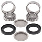 Kit roulements de bras oscillant ALL BALLS pour KAWASAKI KVF 300 BRUTE FORCE 2WD de 2012 à 2025 Kit roulements de bras oscillant ALL BALLS pour KAWASAKI KVF 300 BRUTE FORCE 2WD de 2012 à 2025