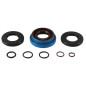 ALL BALLS Transmission Seal Rebuild Kit for POLARIS ATP 330, MAGNUM 330, SPORTSMAN 600, SPORTSMAN 700, SPORTSMAN 800 2002-2010