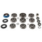 ALL BALLS Transmission Rebuild Kit for POLARIS ATP 330, MAGNUM 330, SPORTSMAN 600, SPORTSMAN 700, SPORTSMAN 800 2002-2010