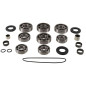 Kit revisión caja de cambios ALL BALLS para POLARIS SPORTSMAN 500 6X6 y YAMAHA XT 600 de 1990 a 2008