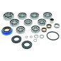 Kit revisión caja de cambios ALL BALLS para POLARIS RANGER 500, RANGER 500 6X6, RANGER 700, RANGER 700 6X6 EFI de 2004 a 2009