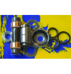 Kit de reparación de basculante PIVOT WORKS POUR RAPTOR 2001-03 para YAMAHA YFM 660 RAPTOR 2WD de 2001 a 2005