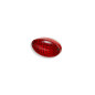 V PARTS Rückleuchte OE rot für RIEJU MRX 50, SMX 50, DAELIM MESSAGE 50 und GAS GAS WILD HP 450 1997-2010 V PARTS Rückleuchte OE rot für RIEJU MRX 50, SMX 50, DAELIM MESSAGE 50 und GAS GAS WILD HP 450 1997-2010