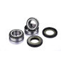Kit de rodamientos de rueda FACTORY LINKS para HONDA TRX 300 EX SPORTRAX 2WD, KYMCO MAXXER 50 y GAS GAS WILD HP 300