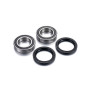 FACTORY LINKS Wheel Bearing Kit for SUZUKI LT 230, LT 250 QUADRACER 2WD, LTZ 400, ARCTIC CAT DVX 400 and KAWASAKI KFX 400