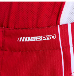 TROY LEE DESIGNS GP Pro Pants - Streamline Red/Black