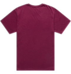 Camiseta TROY LEE DESIGNS Flame2 - Sangria