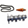 Arbre a cam, chaine de distribution et tendeur de chaine pour APRILIA 4 temps