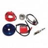 Ignition, stator, regulator, coil, spark plug,... for GAS GAS 4 stroke