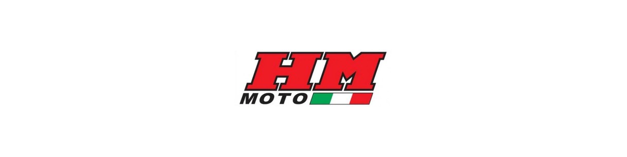Category Spy gasket, fork spi and dust cover for HM